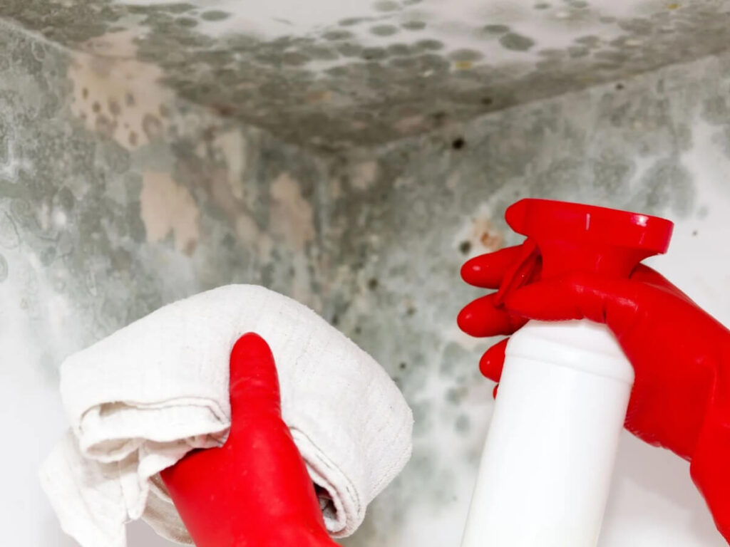 a person with red gloves and a white cloth is cleaning a moldy wall