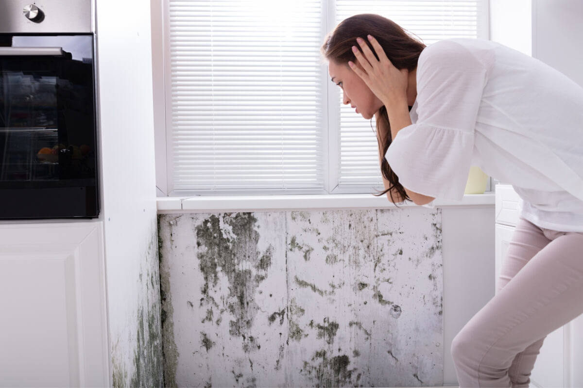 mold-on-wall Women is looking on moldy wall