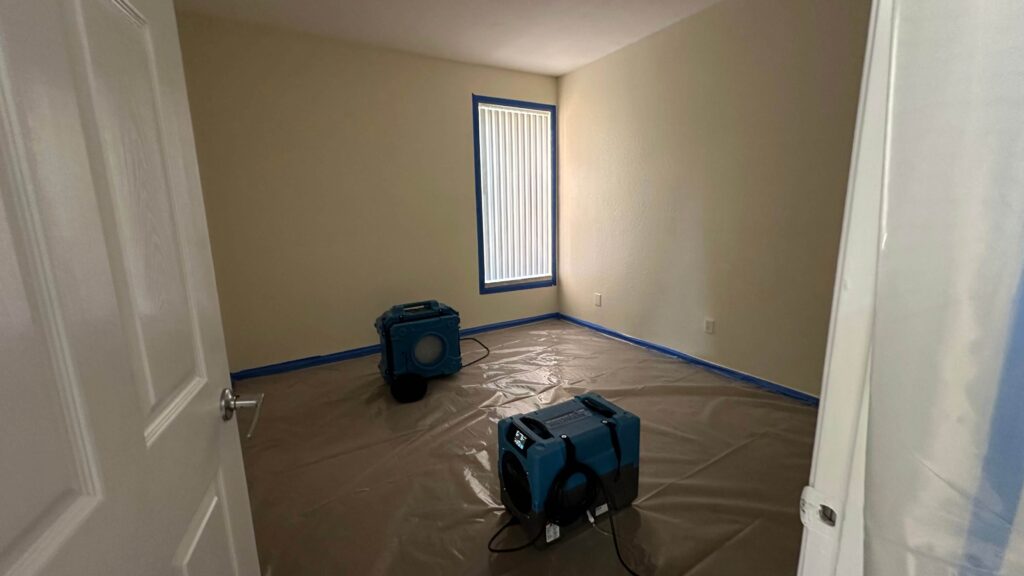 Professional Mold Remediation in West Palm Beach, FL 9 A room featuring a vacuum and a bucket, prepared for mold cleaning tasks.