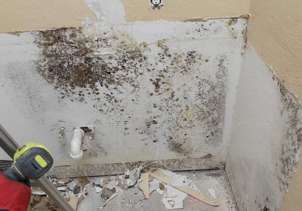 Mold Inspection and Assessment Mold Inspection and Assessment