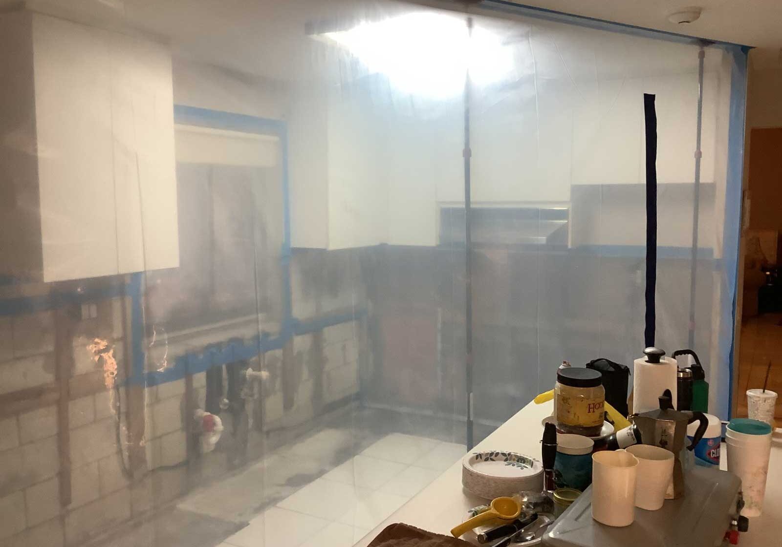 Mold Remediation Encapsulation